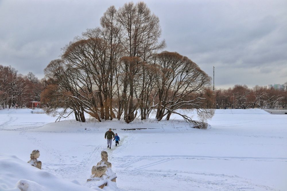 Photograph by Ирина Галеева