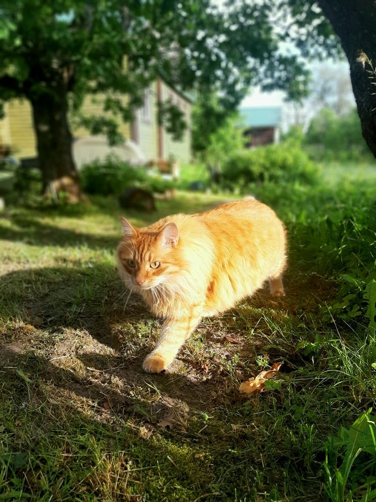 Photograph by Анастасия