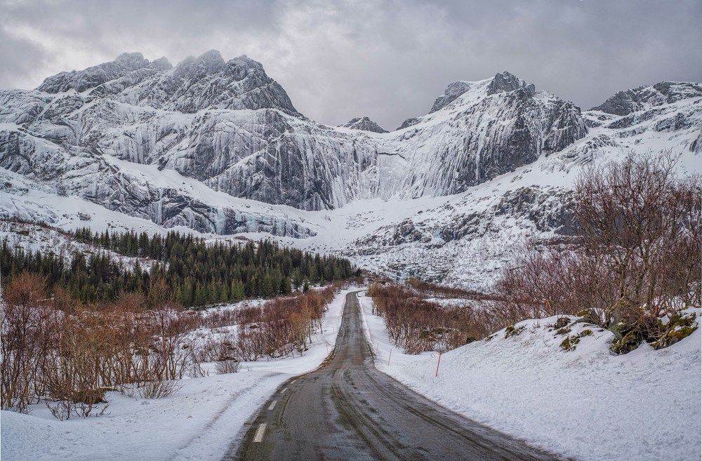 Фотография автора Eddie Lee