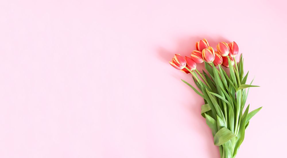 Photograph by Olga Strogonova