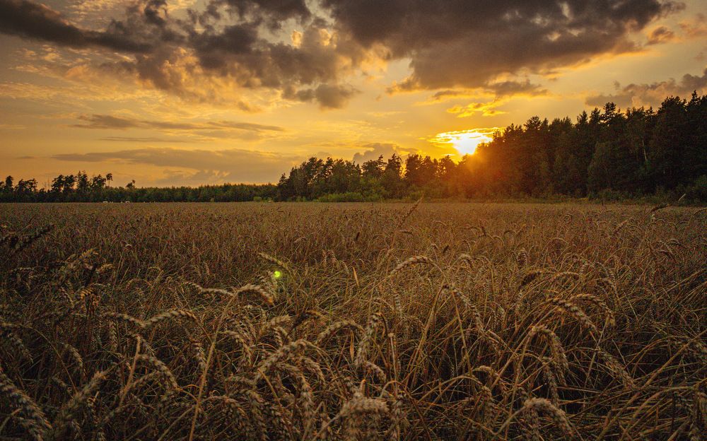 Photograph by Юлия Маркова