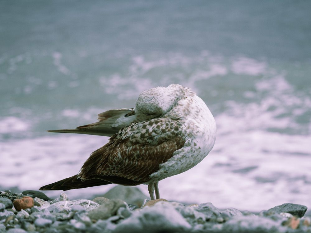 Photograph by Донской Дмитрий