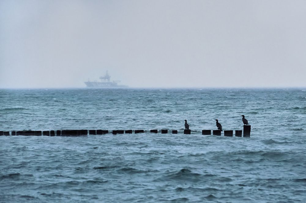 Photograph by Olga Gantman