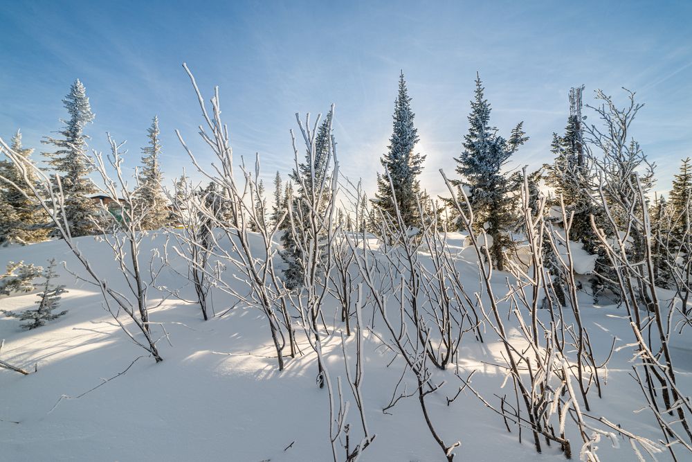 Фотография автора NIKOLAY KALININ