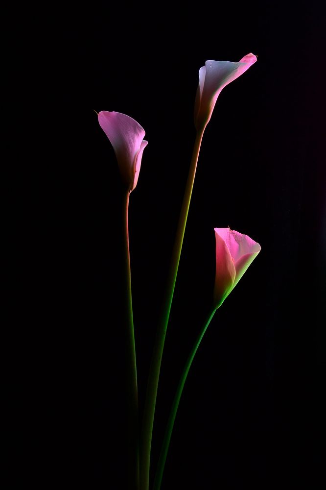 Photograph by Наталья Ивочкина