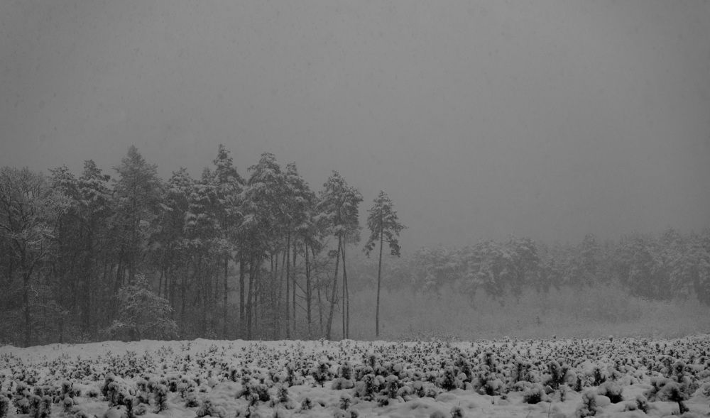 Photograph by Piotr Hryniak