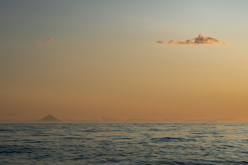 Photograph by 
