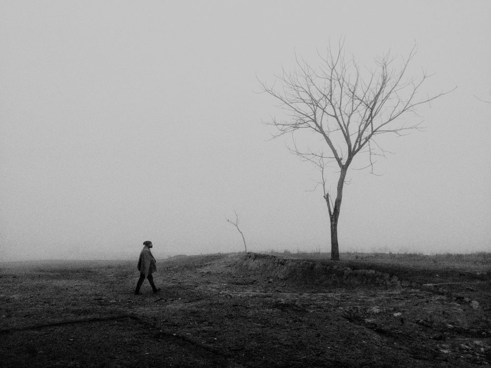 Фотография автора PRADIPTAMOY PAUL