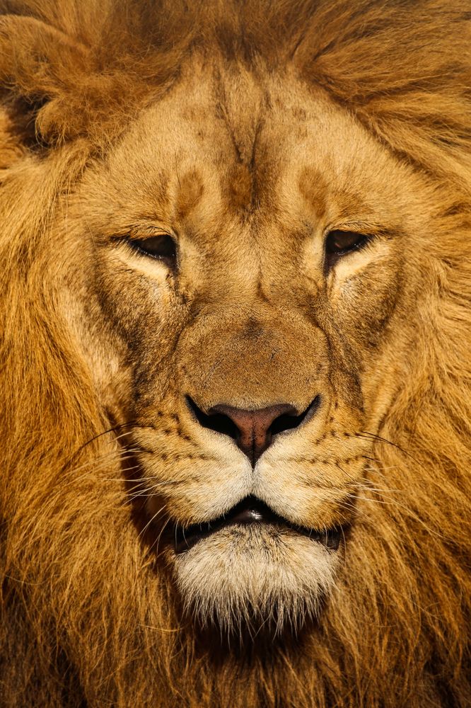 Фотография автора Andrej Levius