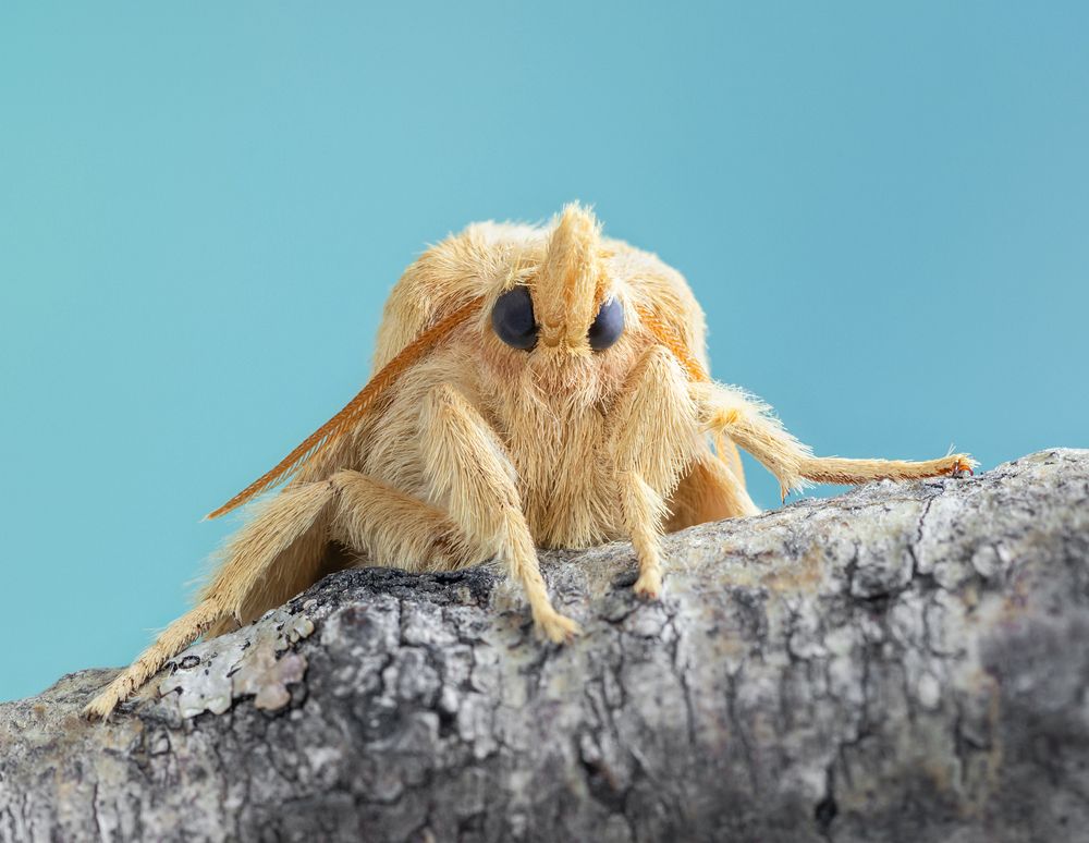 Photograph by Марина Багрова