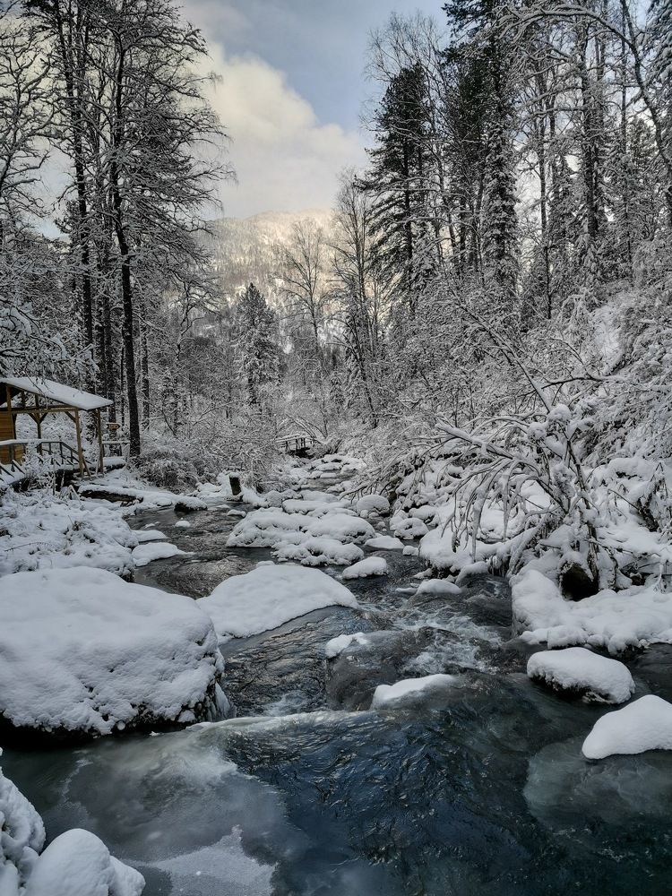 Photograph by Светлана Салмина