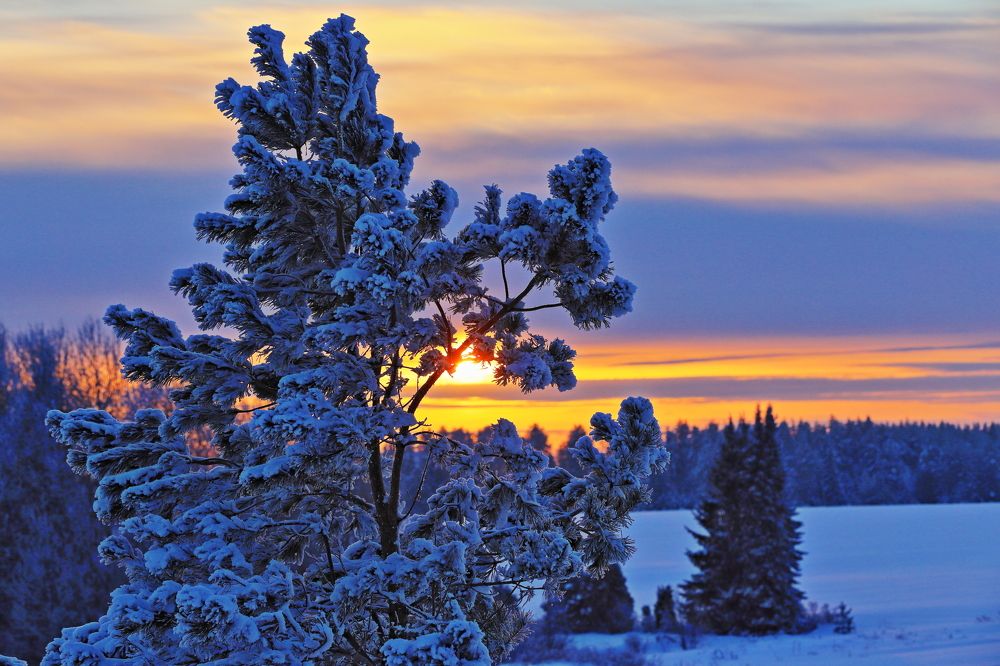 Photograph by Урбанович Владимир