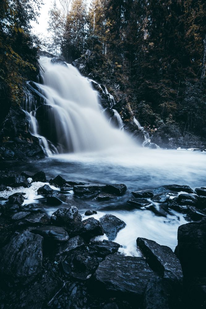 Фотография автора Алексей Победкин