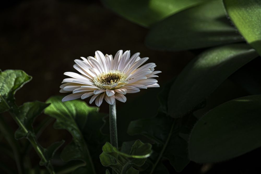 Photograph by Юлия Куликова