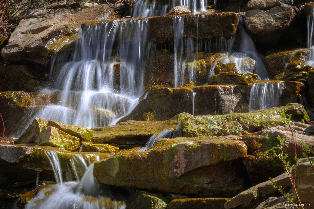 Photograph by Valentina Suvorova