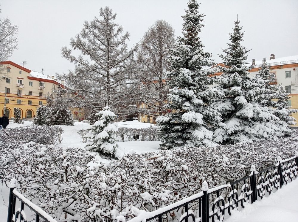 Фотография автора Ольга Малкова