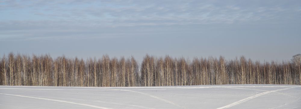 Photograph by Сергей Шерстнев