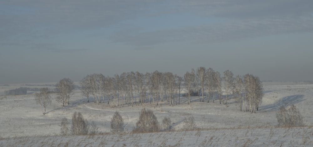 Photograph by Сергей Шерстнев