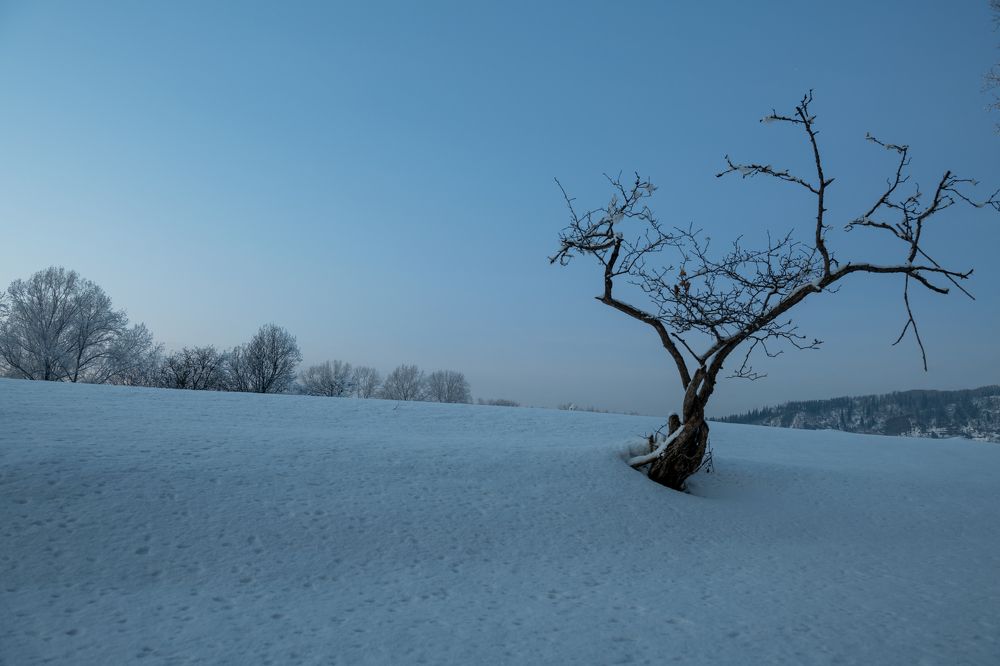 Photograph by Сергей Шерстнев