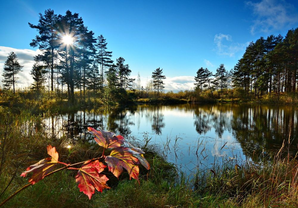 Тихая заводь.