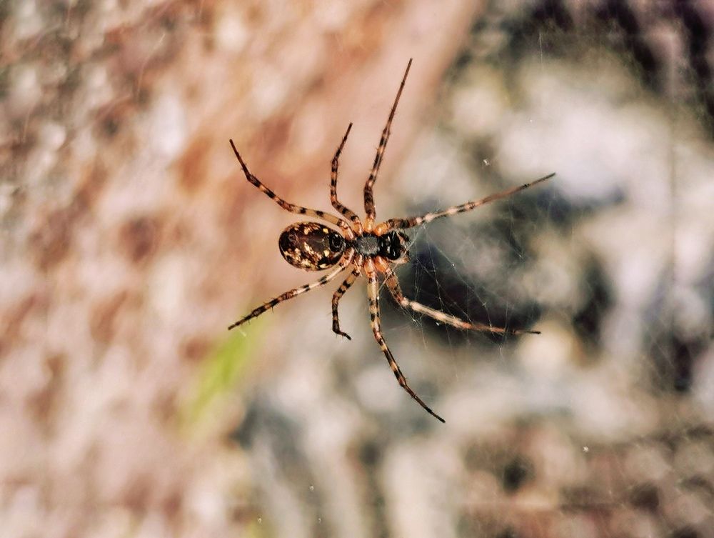 Photograph by Ольга