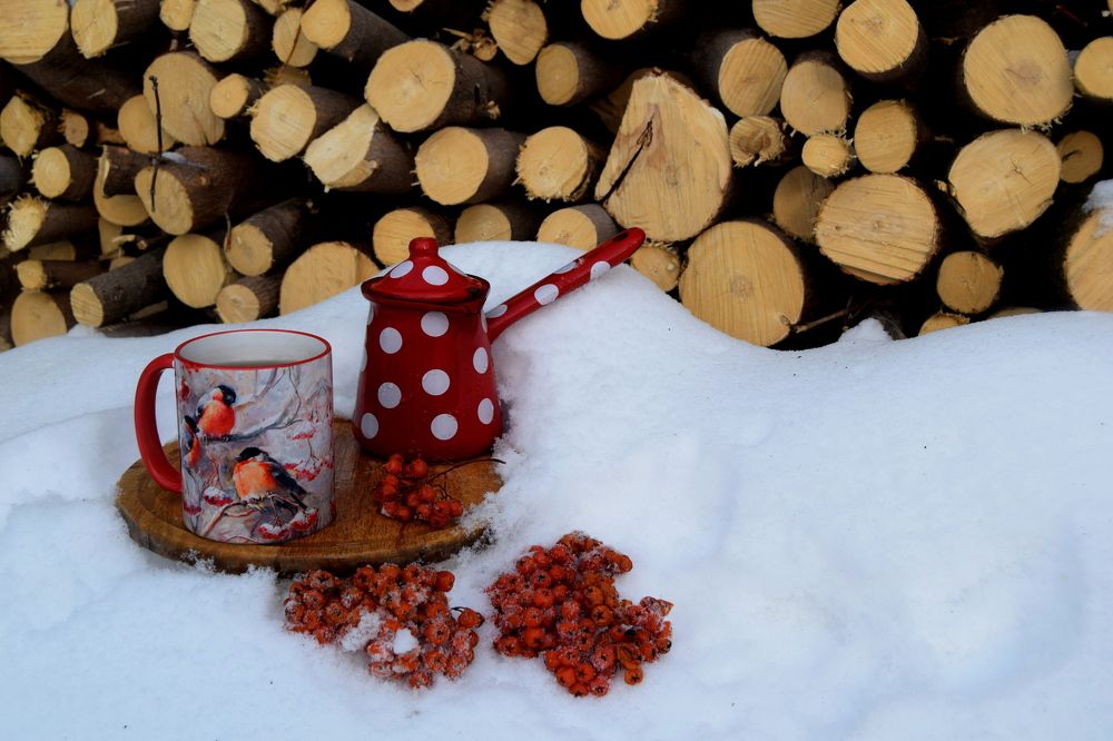 Photograph by Svetlana Korogod