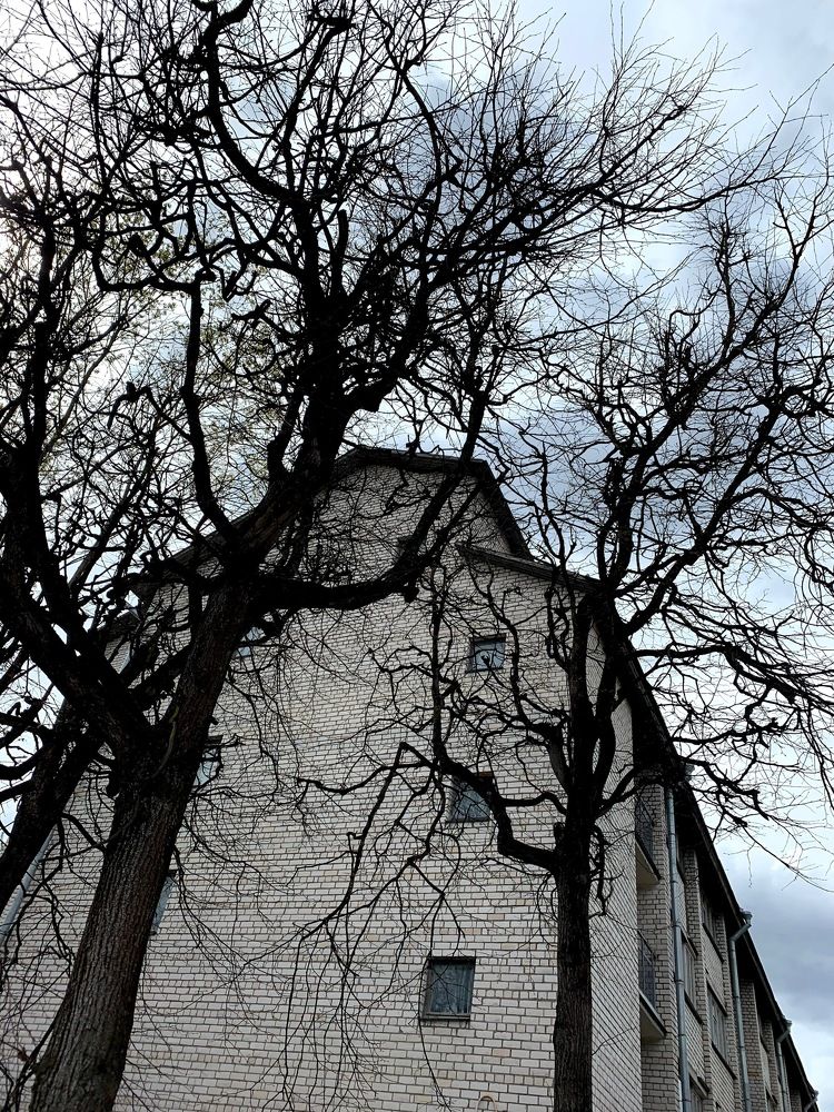 Photograph by Наталья