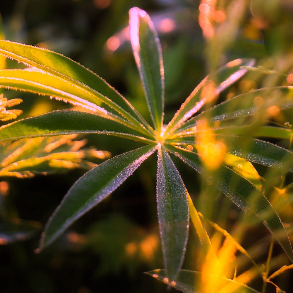 Фотография автора Vadim