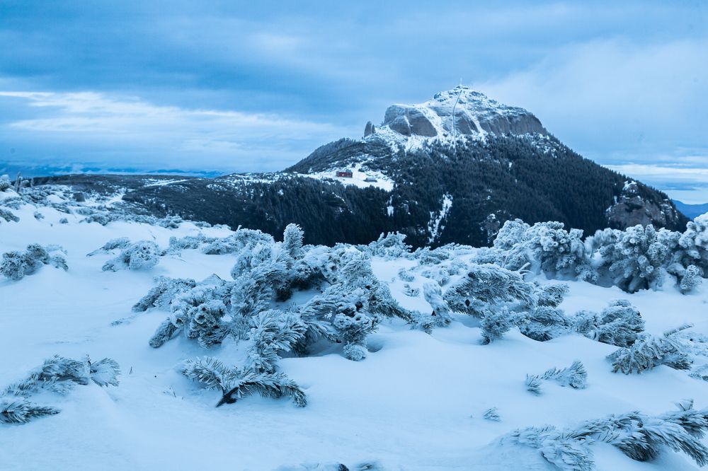 Photograph by  Camelia