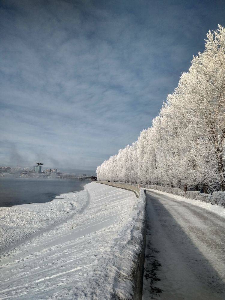 Морозный день