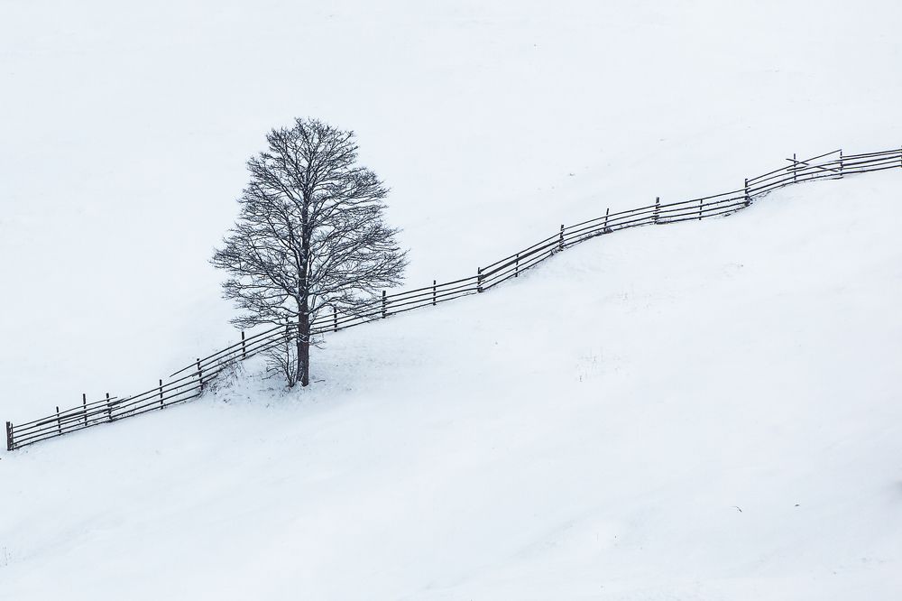 Photograph by  Camelia