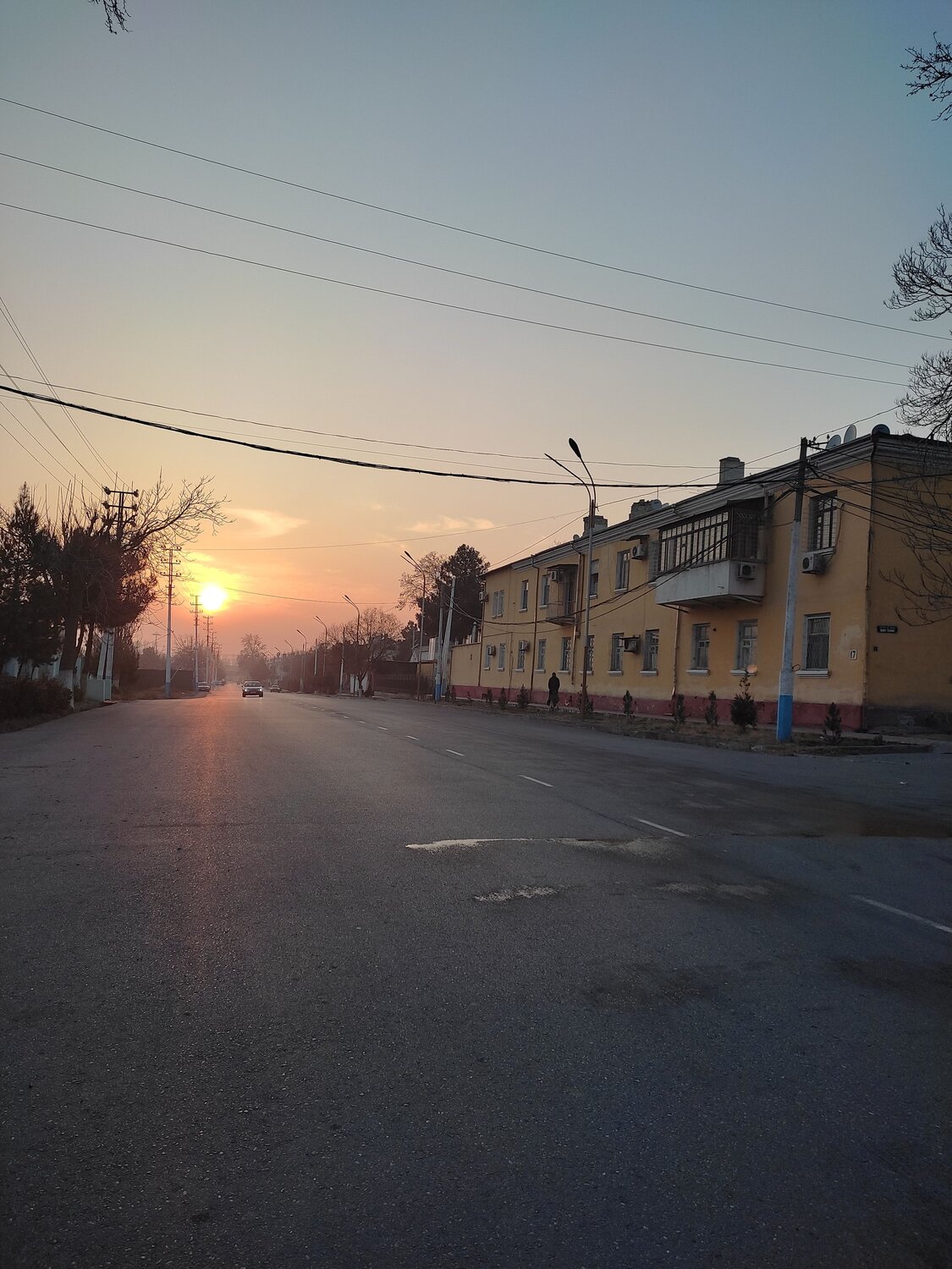 Photo #7134314