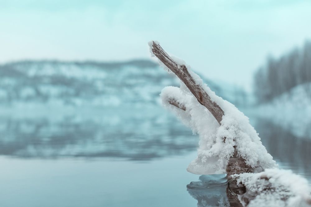 Photograph by Артем Штылев