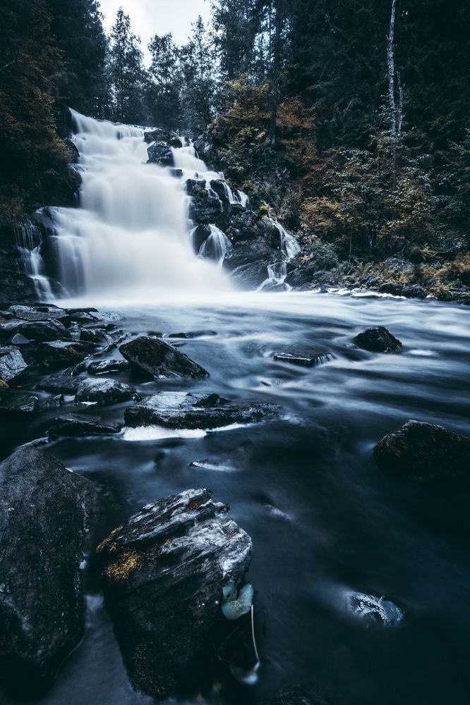 Фотография автора Алексей Победкин