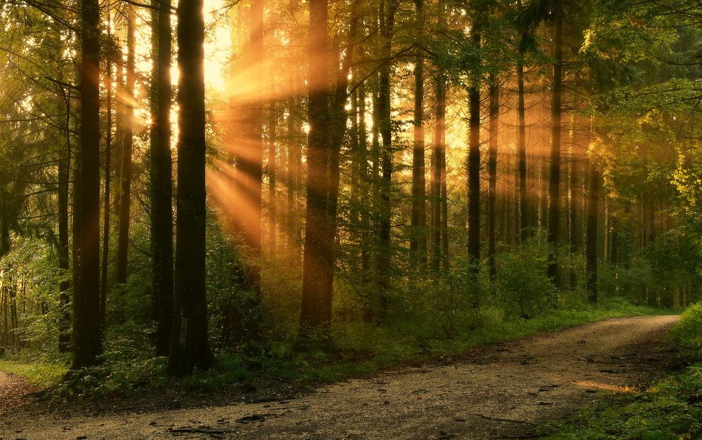 Photograph by Elena Wymann