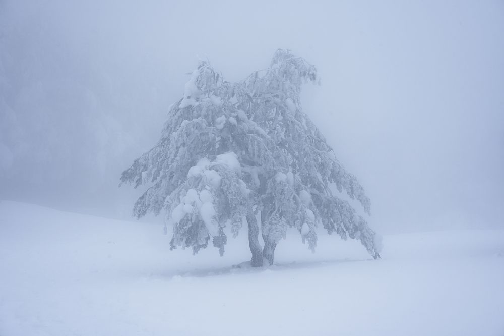 Photograph by Oscar Lata