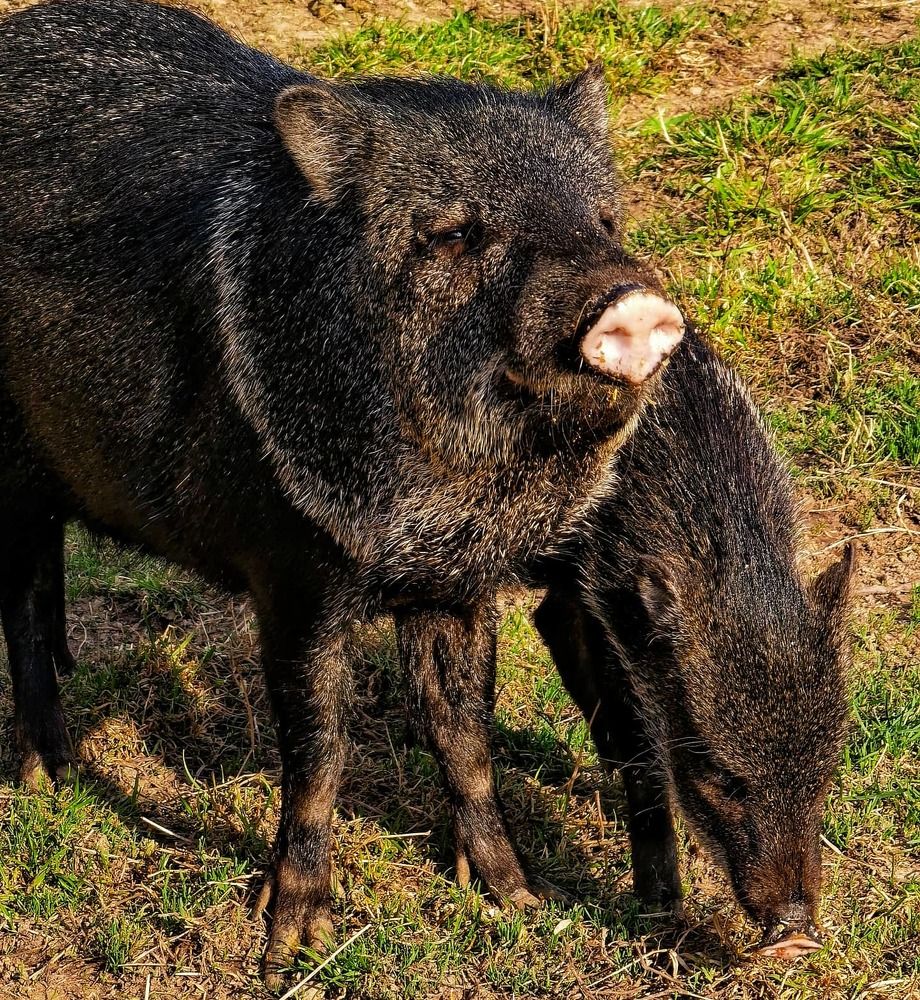 Photograph by Олика