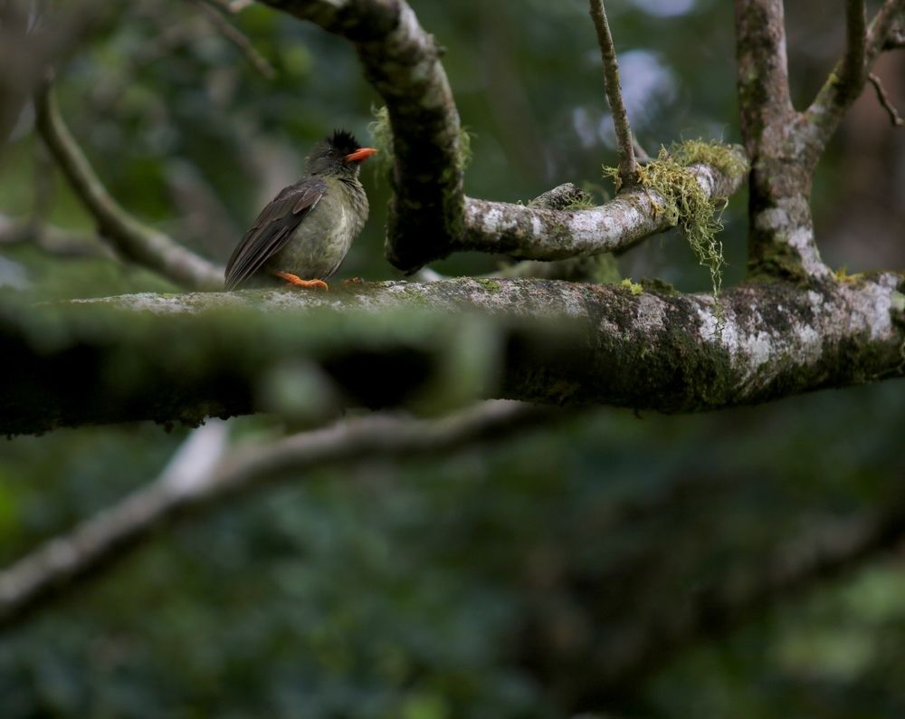 Photograph by Елена Ковалева