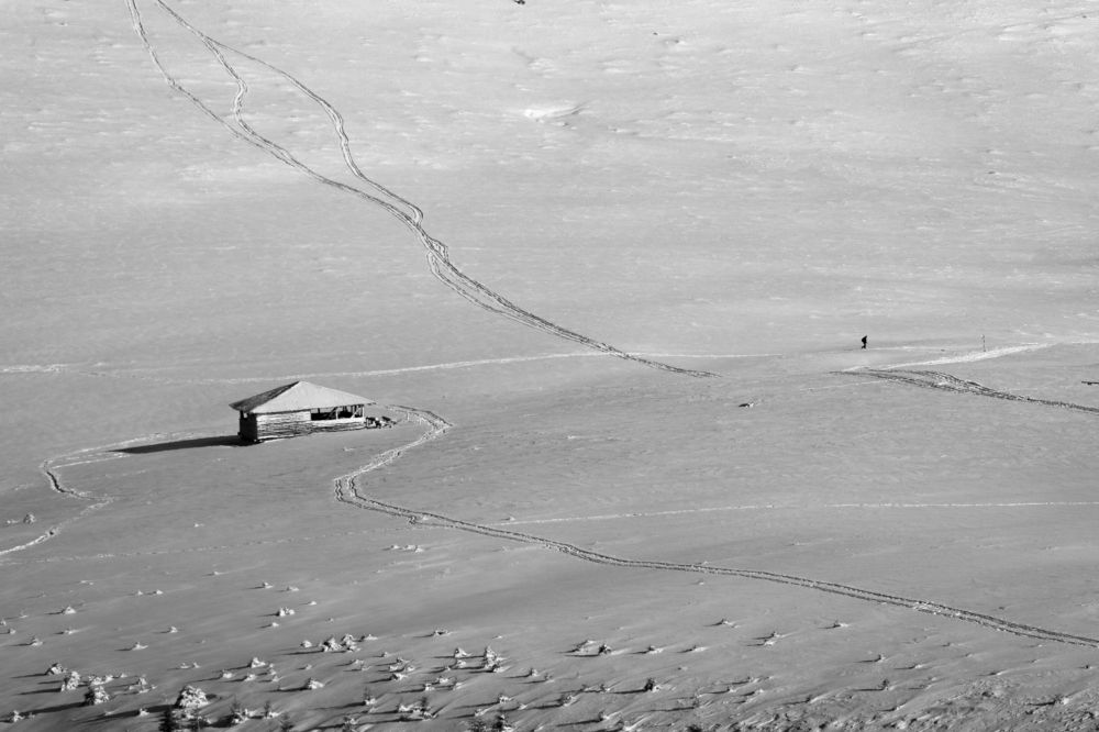 Photograph by  Camelia