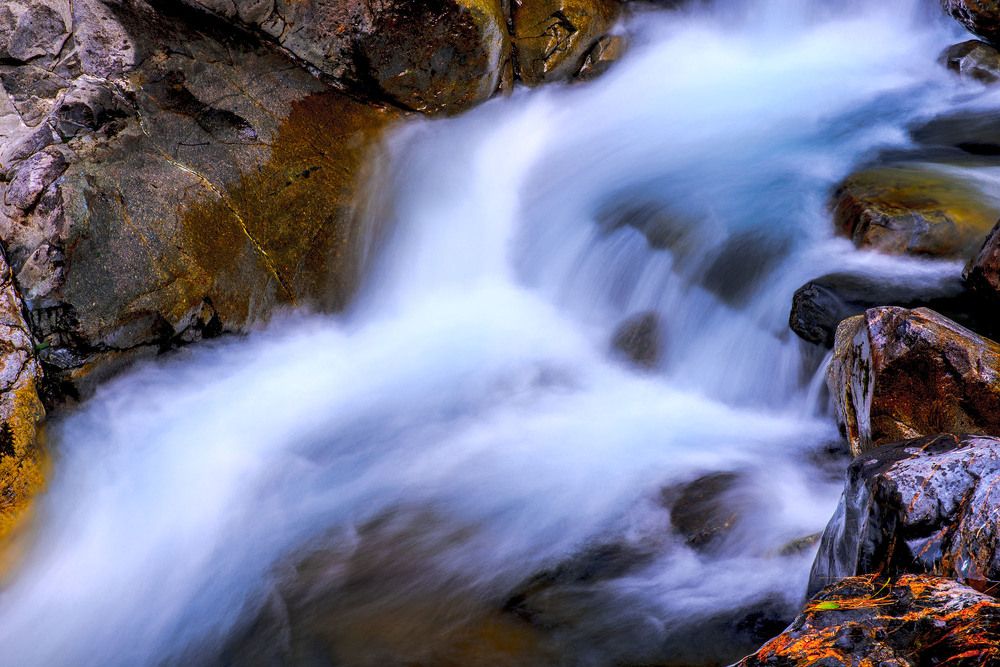 Фотография автора jean-luc