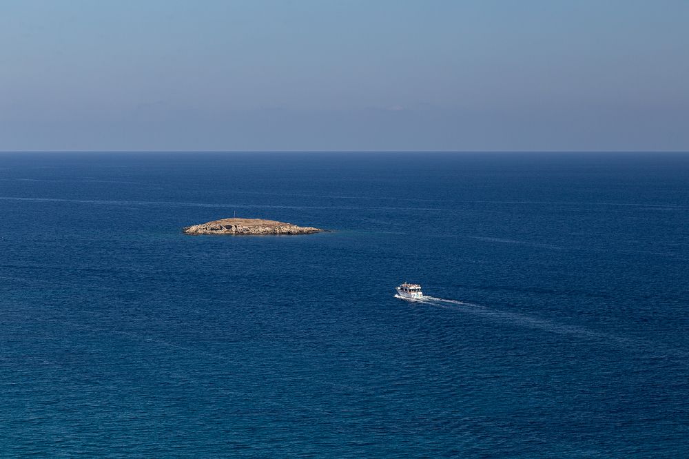 Photograph by  Camelia