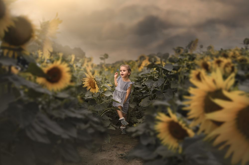 Photograph by Marta Grochowska