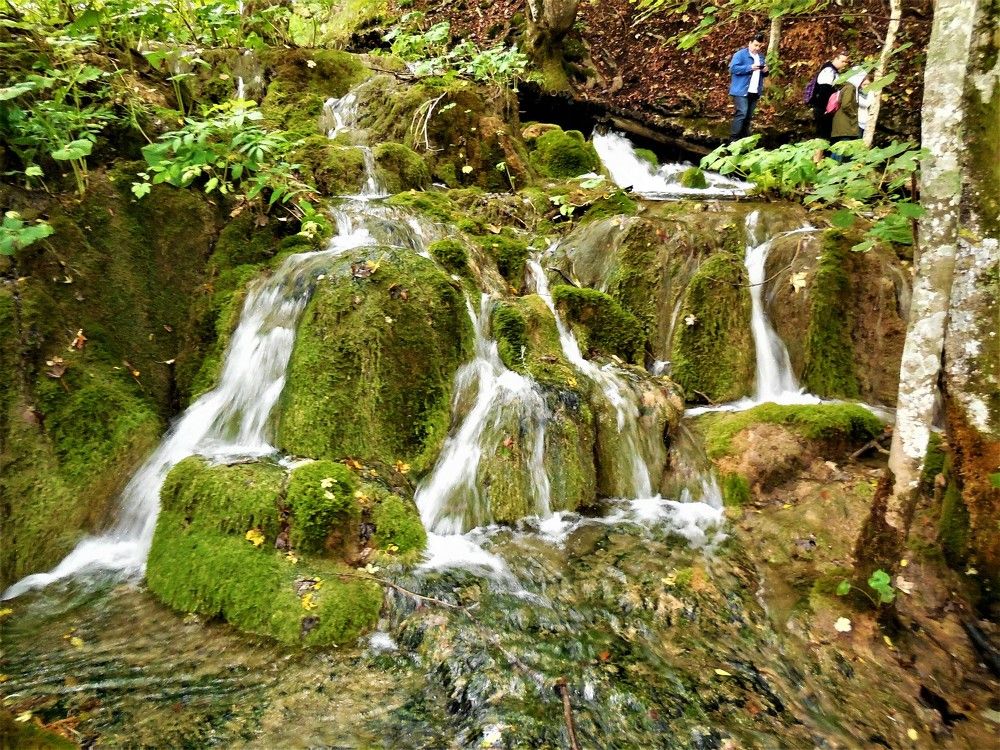 Photograph by Ева К.