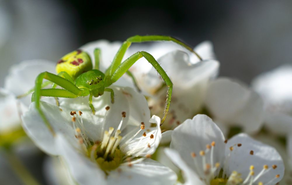 Photograph by Владимир