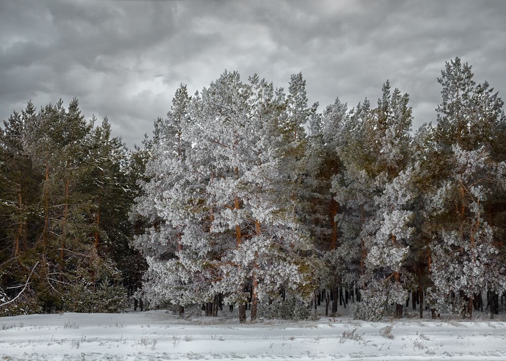 Photograph by Олег Белан