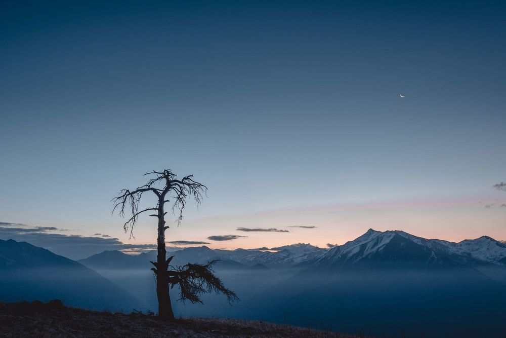 Photograph by Олег Раевский