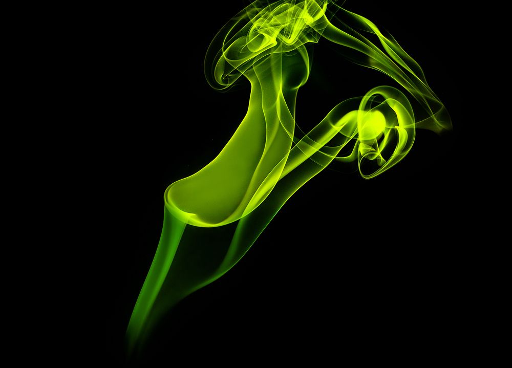 Photograph by SHUBHENDU BANERJEE