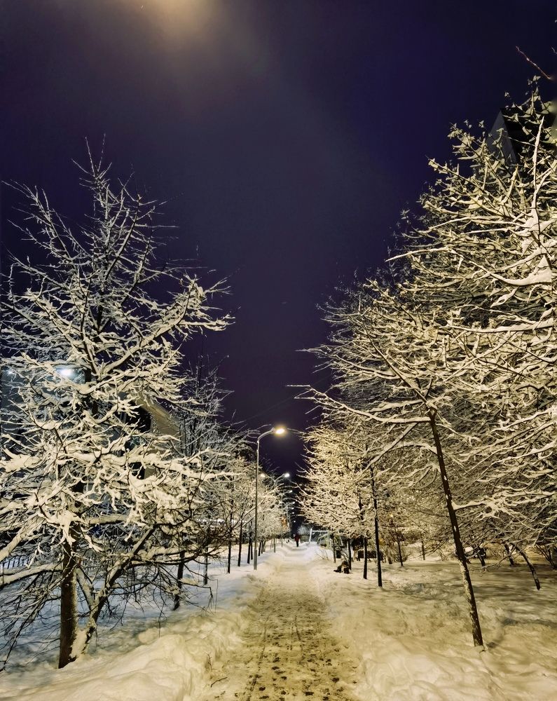 Photograph by Олика