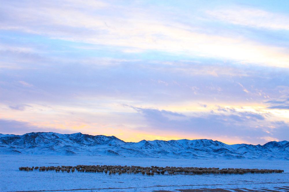 Photograph by Елизавета Верёвкина