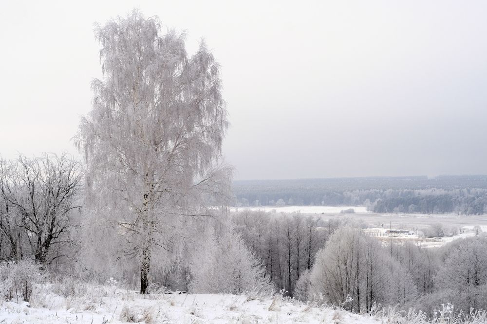Photograph by Андрей Михайлин